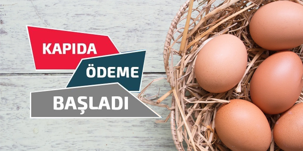 Kapıda Nakit Ödeme 