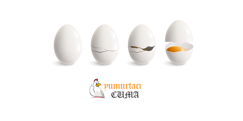 Yumurta S.S.S.